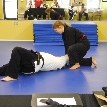 Tiger Martial Arts LLC